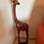 A Casa Do Carlos *
